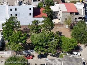 6 Coral Calle 4