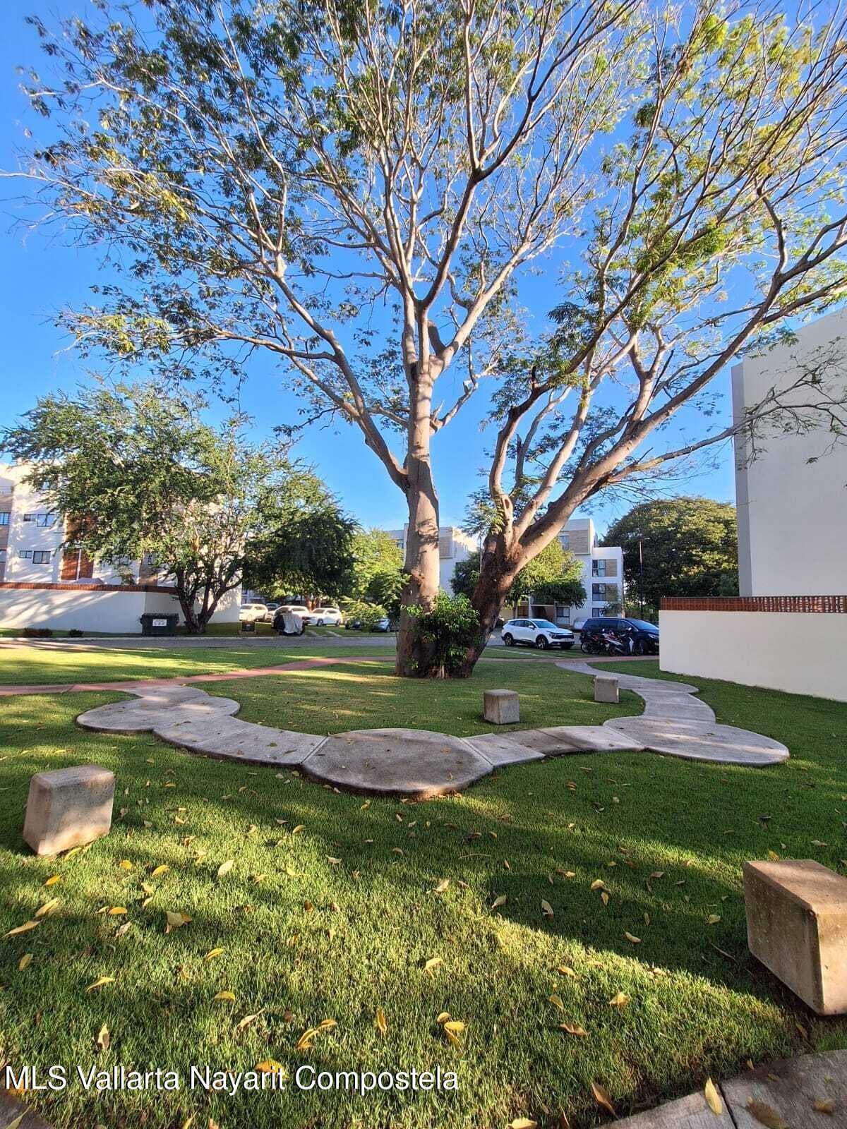 303 Paseo Foresta 23