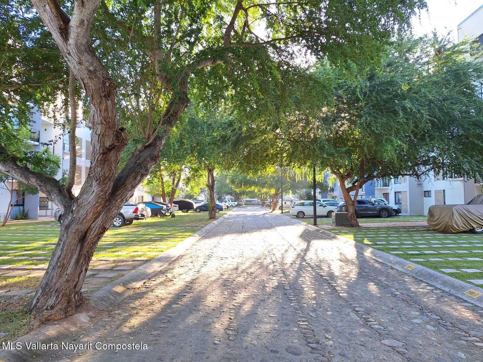 303 Paseo Foresta 24
