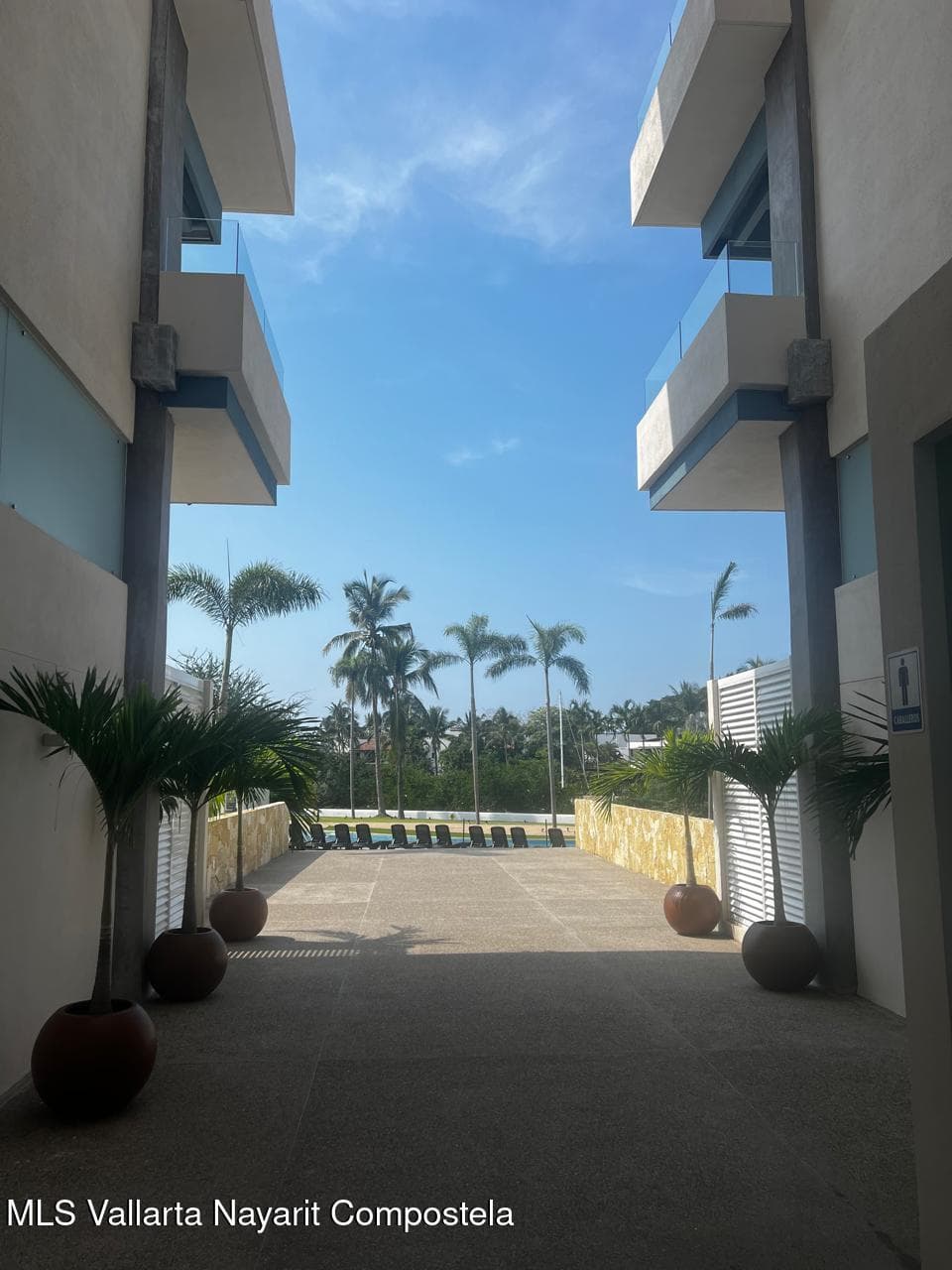 38 A Paseo de las Palmas 17