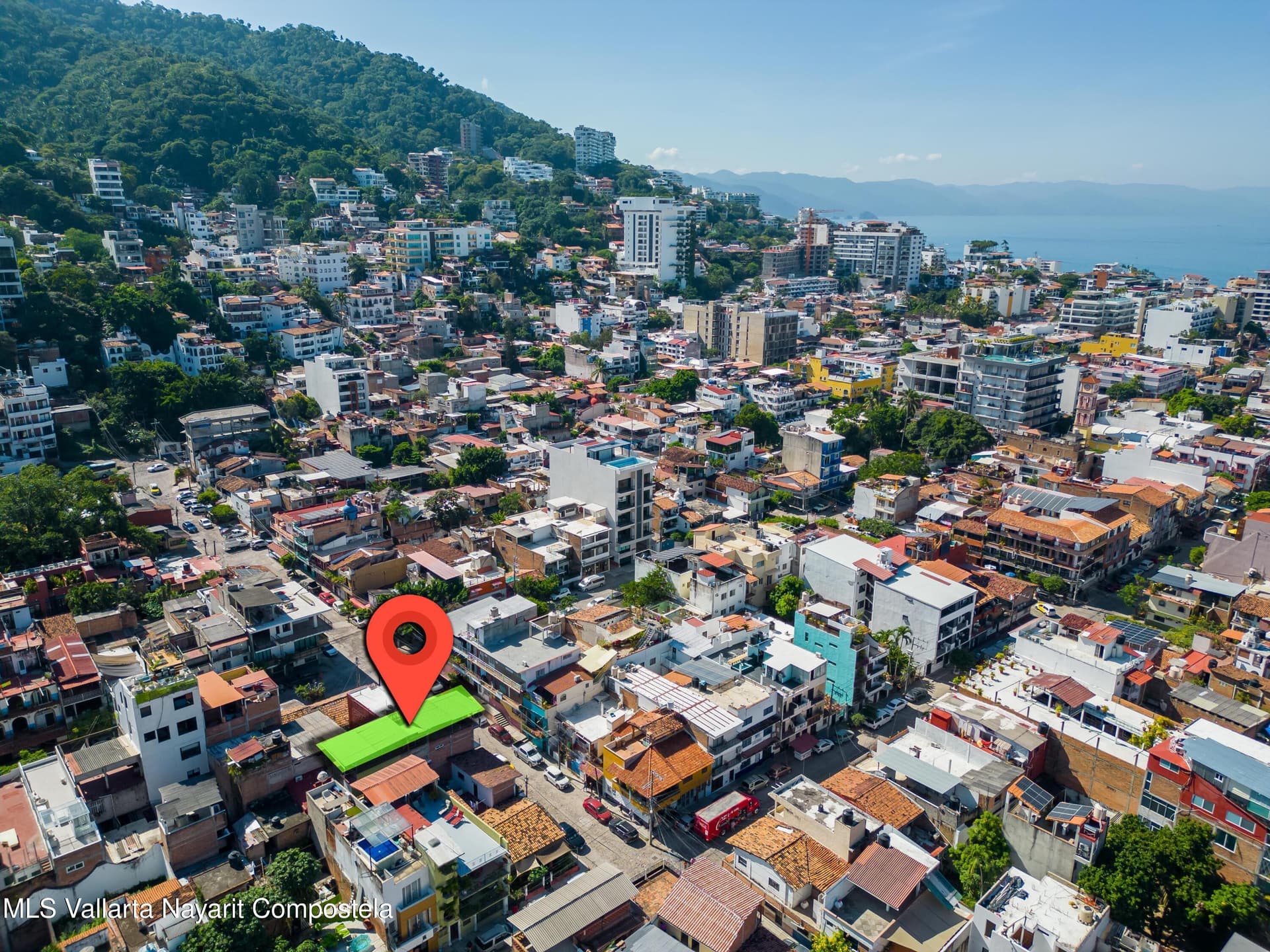 221 Naranjo 10