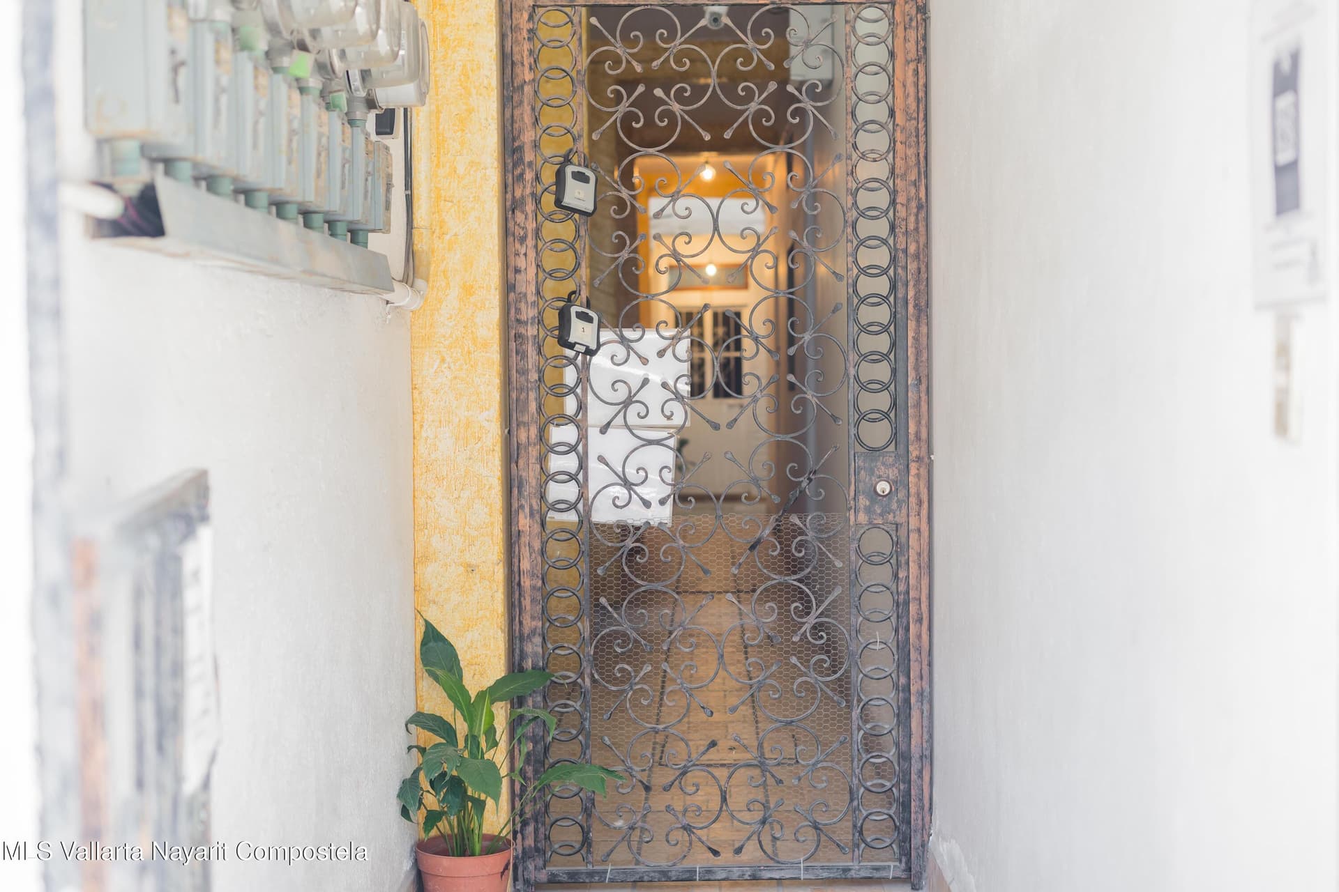 221 Naranjo 39
