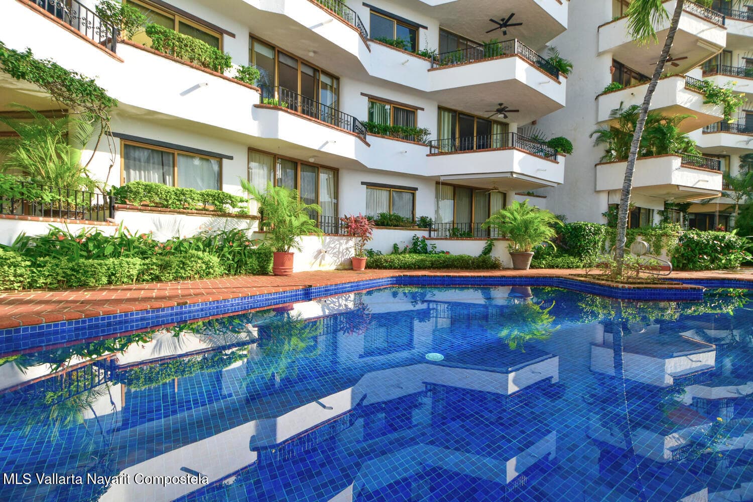 Rivera (Riviera) Amapas 9