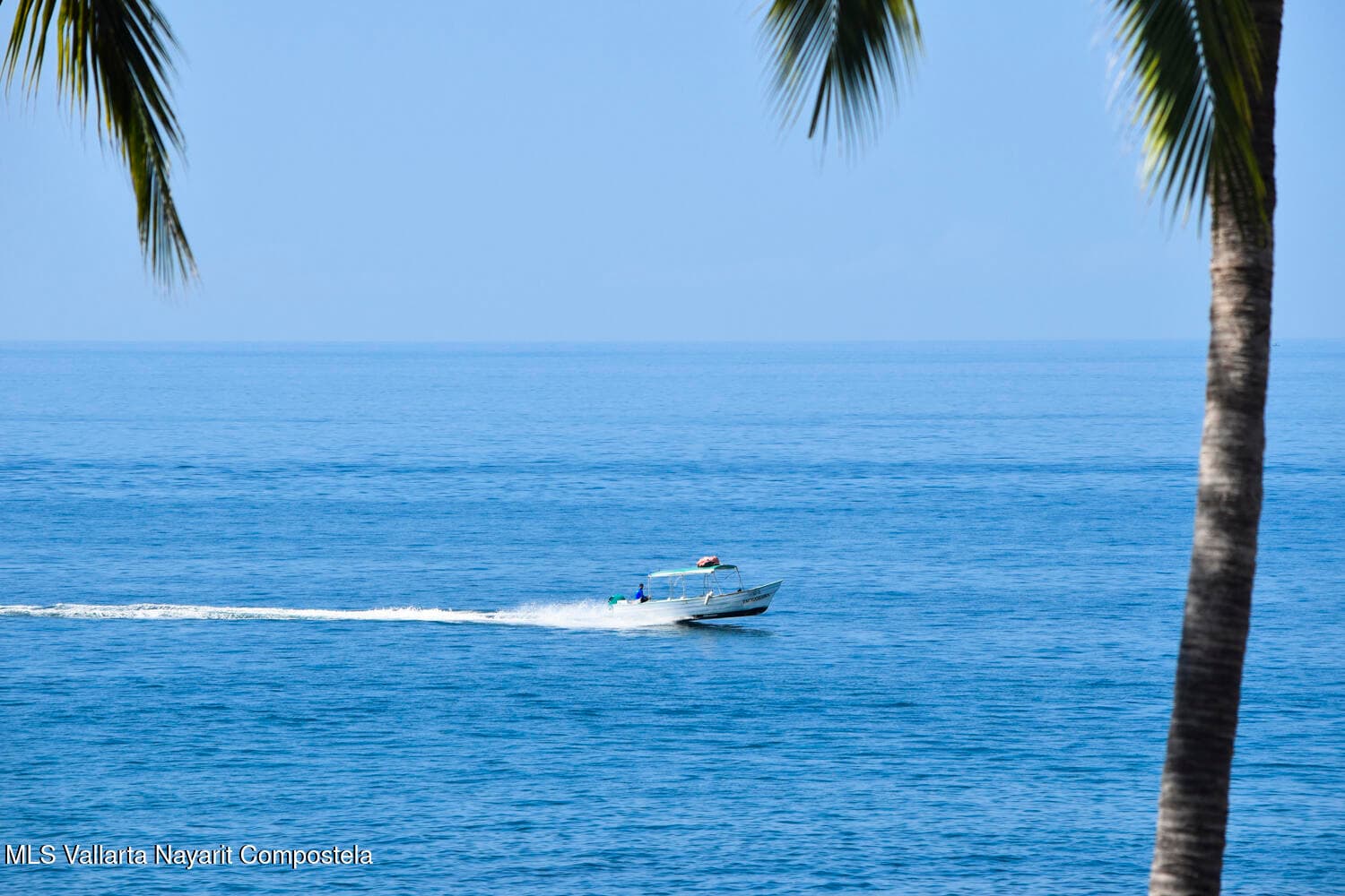 Rivera (Riviera) Amapas 26