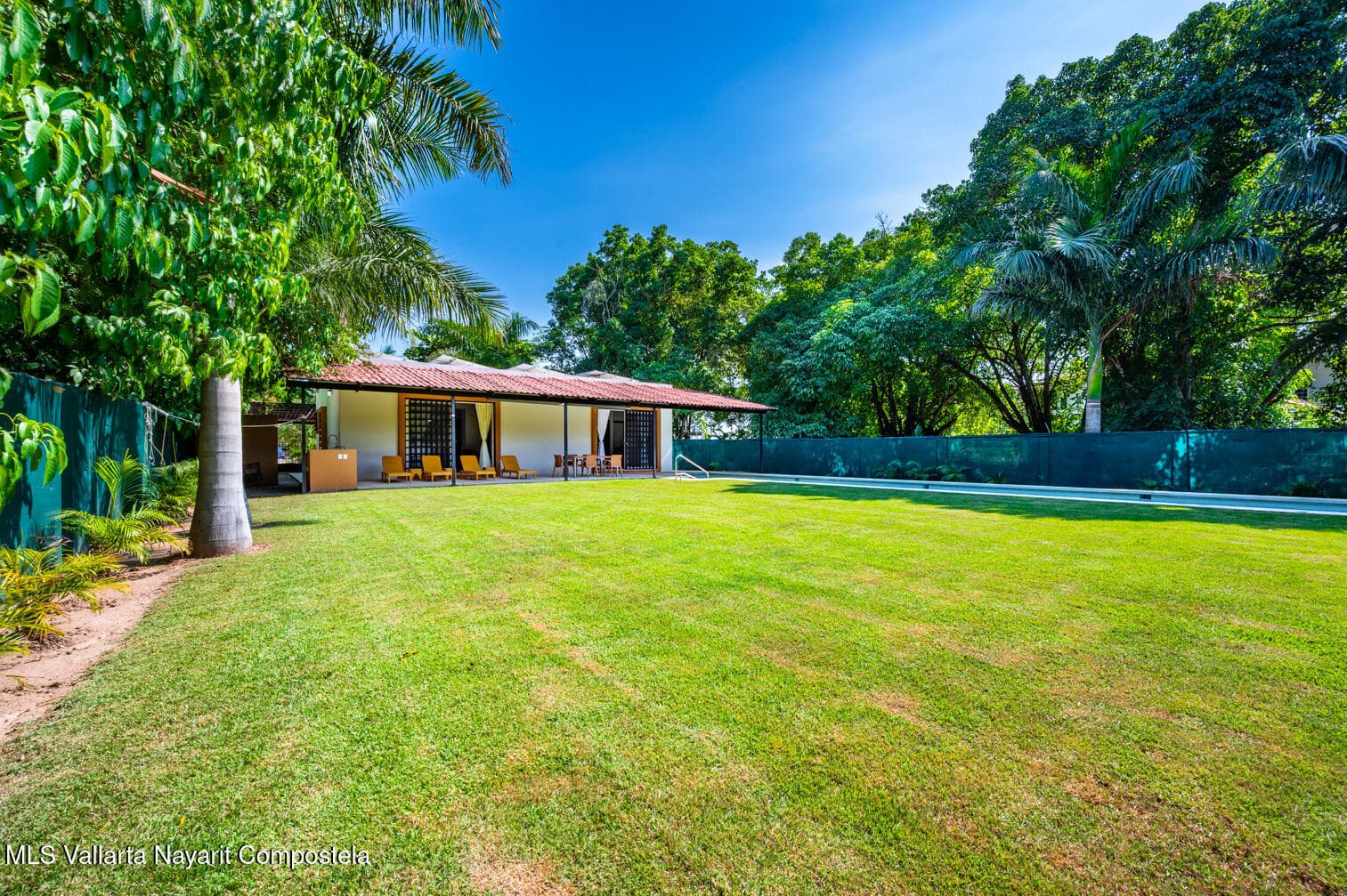 165 Jacarandas 21