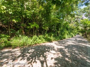 S/N :AL SURESTE DE SAYULITA S/N S/ 8