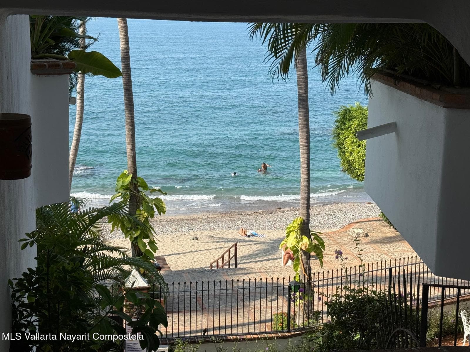 Rivera (Riviera) Amapas 6