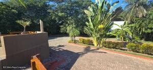 127 Refugio del Armadillo 7