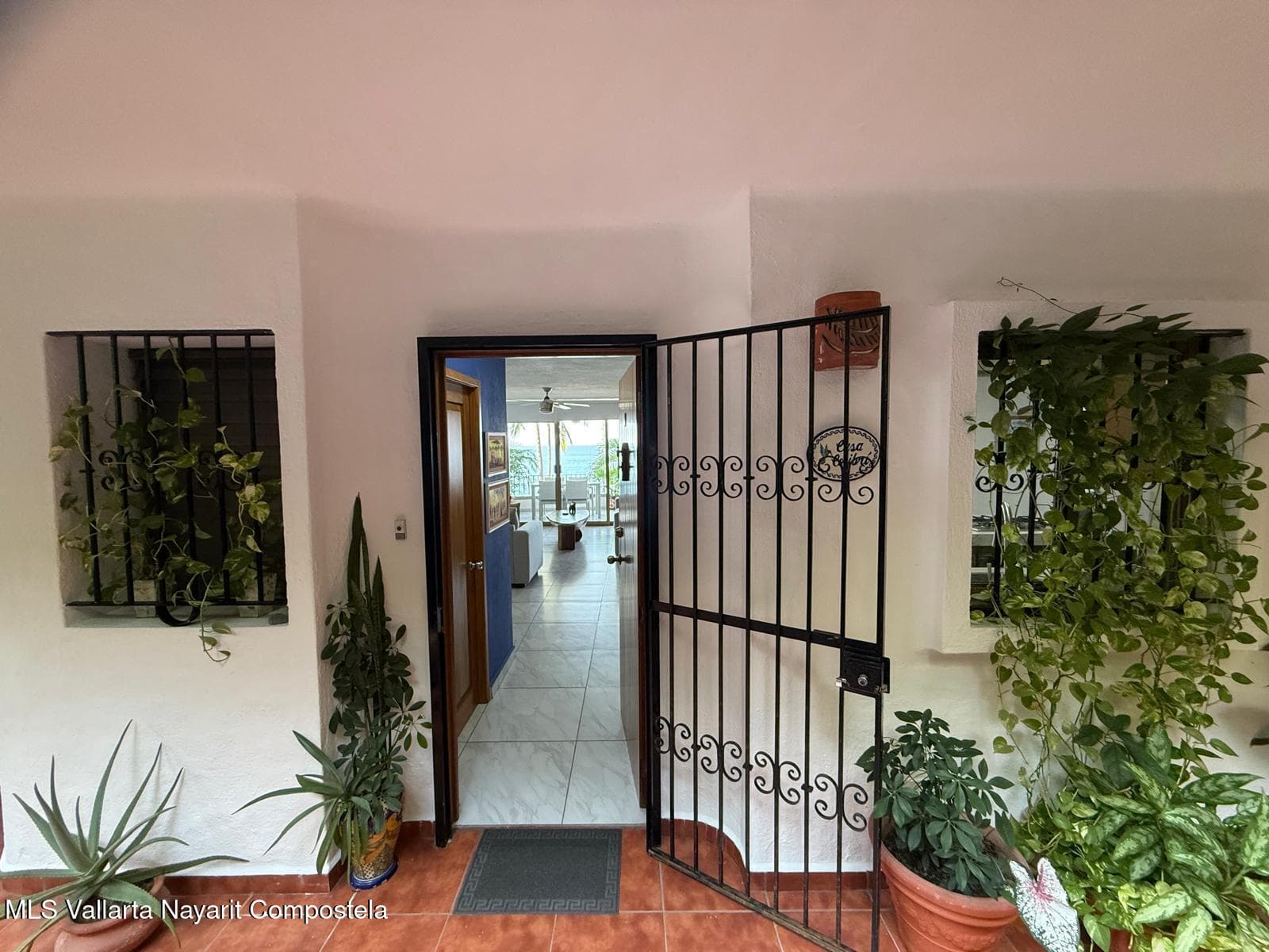 Rivera (Riviera) Amapas 12