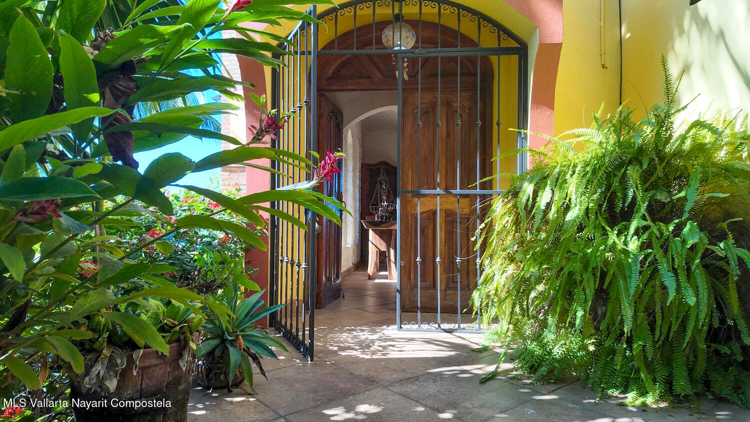52 PESCADORES CABO SAN LUCAS 27