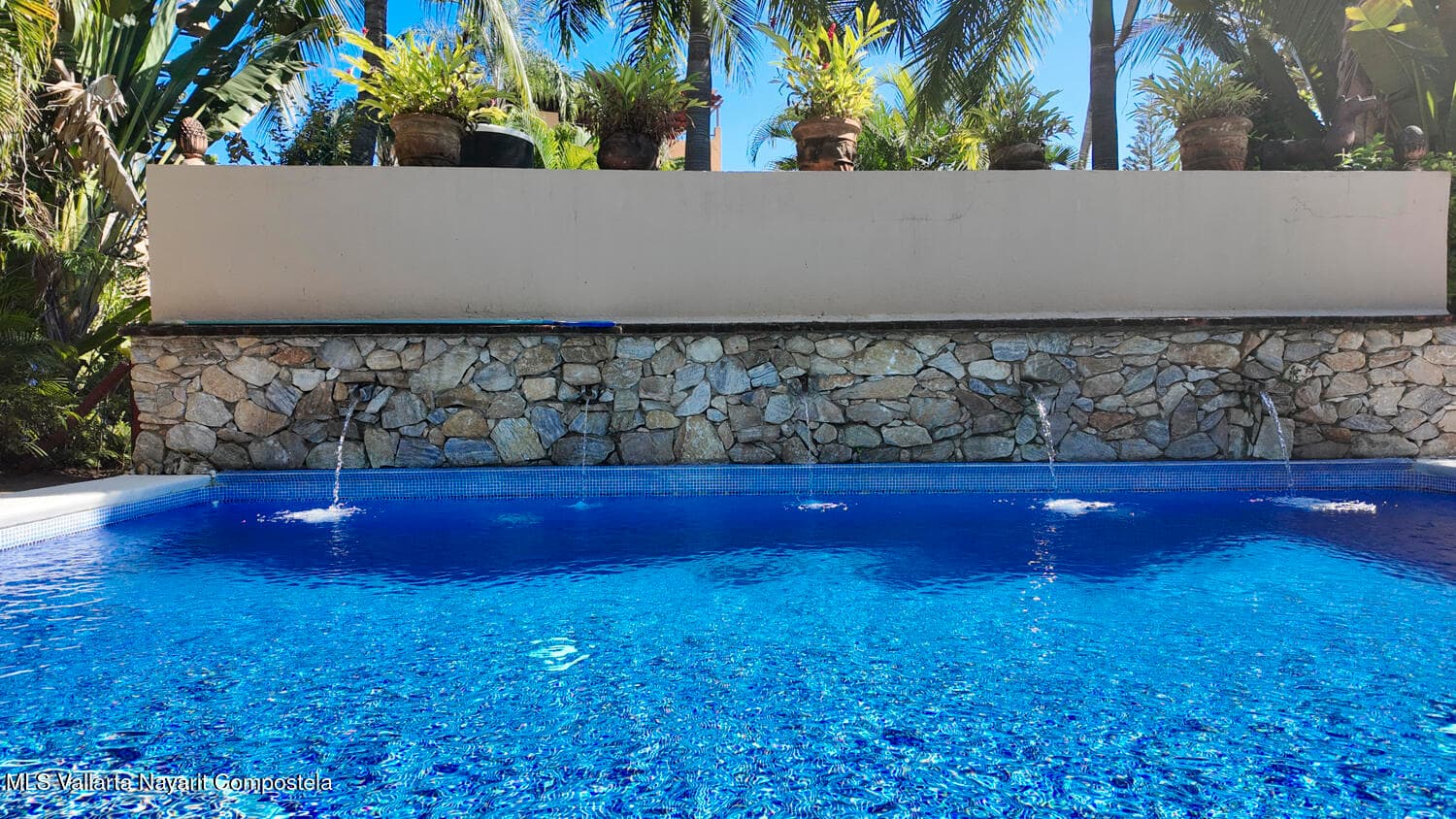 52 PESCADORES CABO SAN LUCAS 32