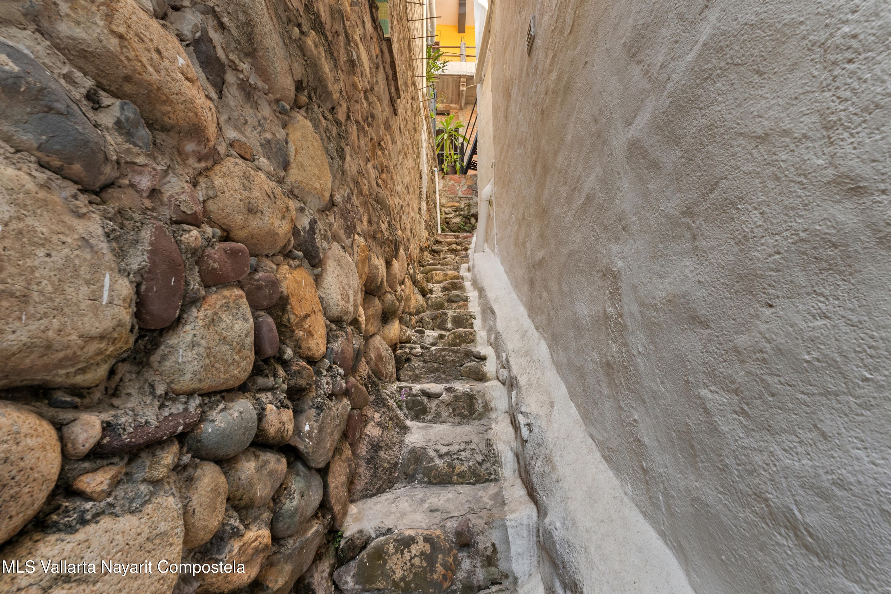 101 C Miguel Angel 36