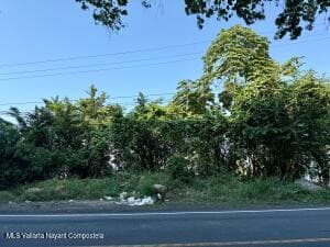 SN Carretera Barra de Navidad 15