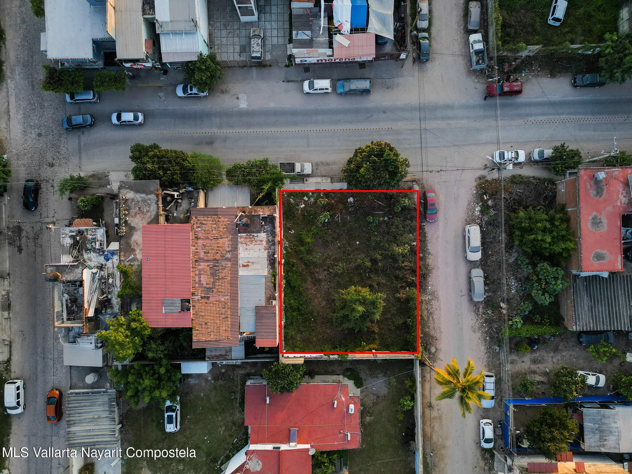 253 calle Miguel Hidalgo 6