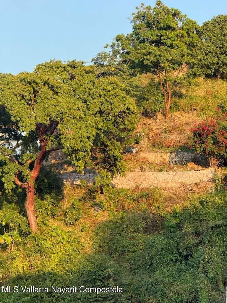 479 Cerrado Pilitas 5