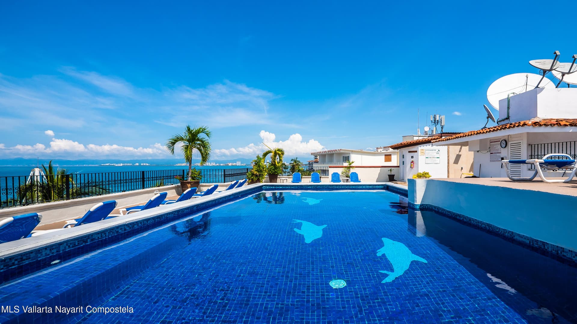 La Palapa 26