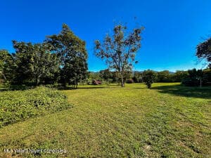 207 Carretera Tuito-Chacala 5