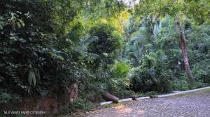 29 Carretera a Barra de Navidad 2
