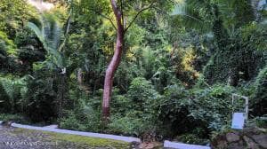 29 Carretera a Barra de Navidad 3