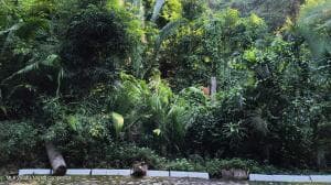29 Carretera a Barra de Navidad