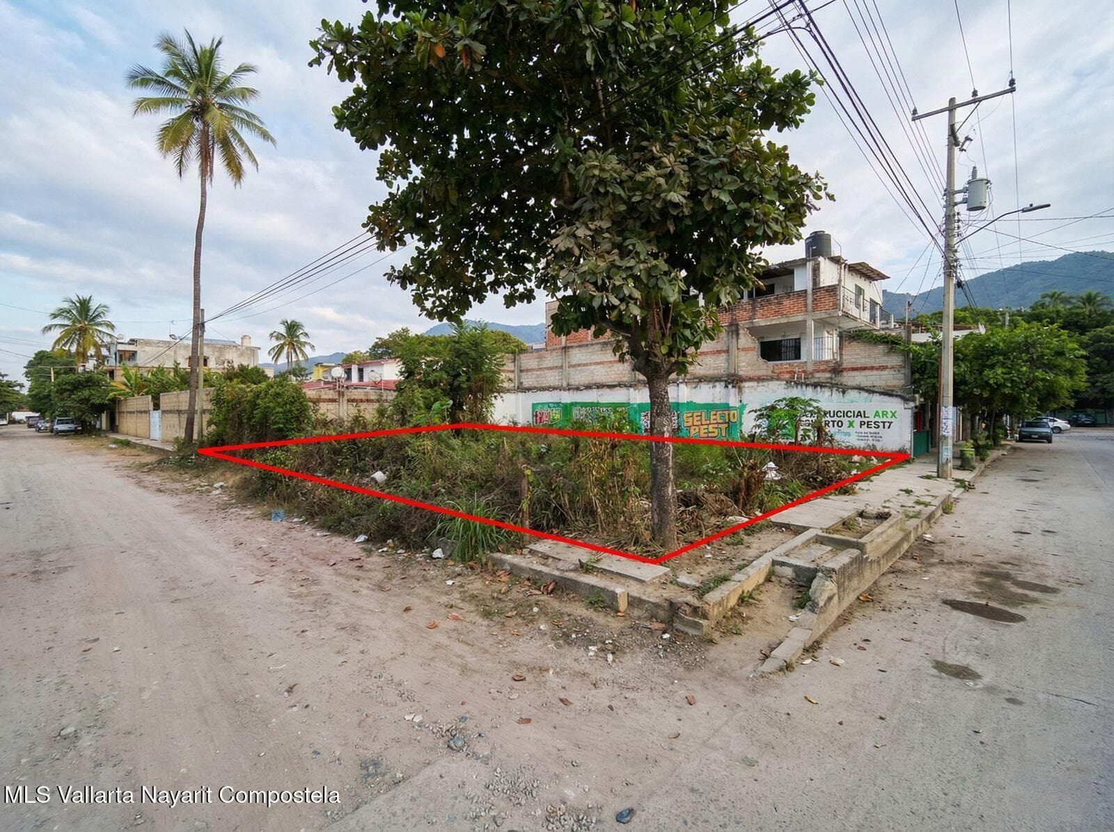 253 calle Miguel Hidalgo 13
