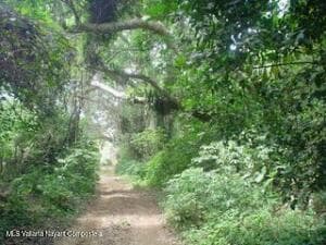 S/N CAMINO LAS CALABAZAS 4
