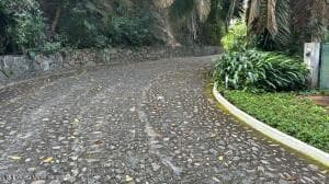 Punta Negra 4