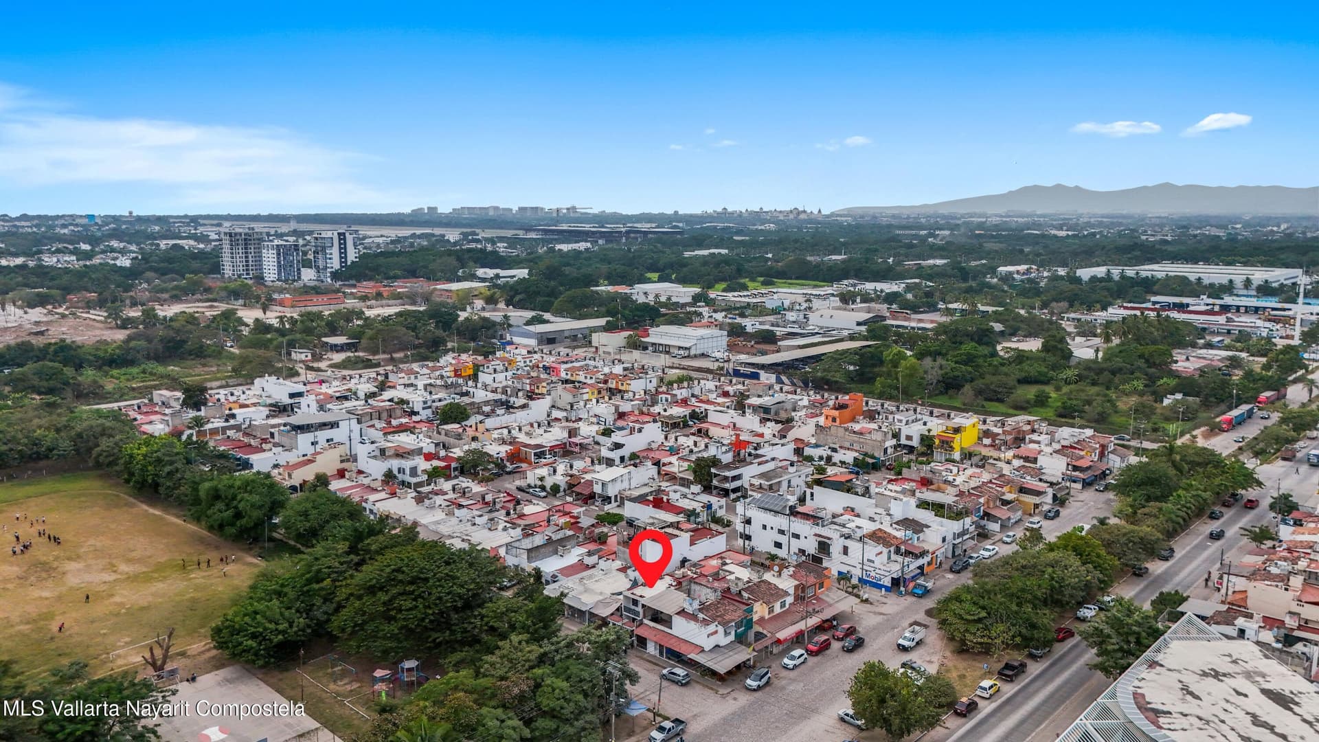 191 Palma Kentia St. 37