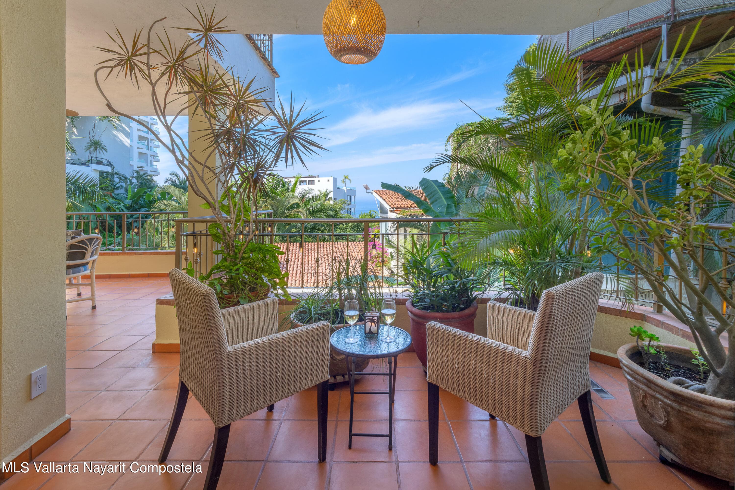 221 Gardenia 24