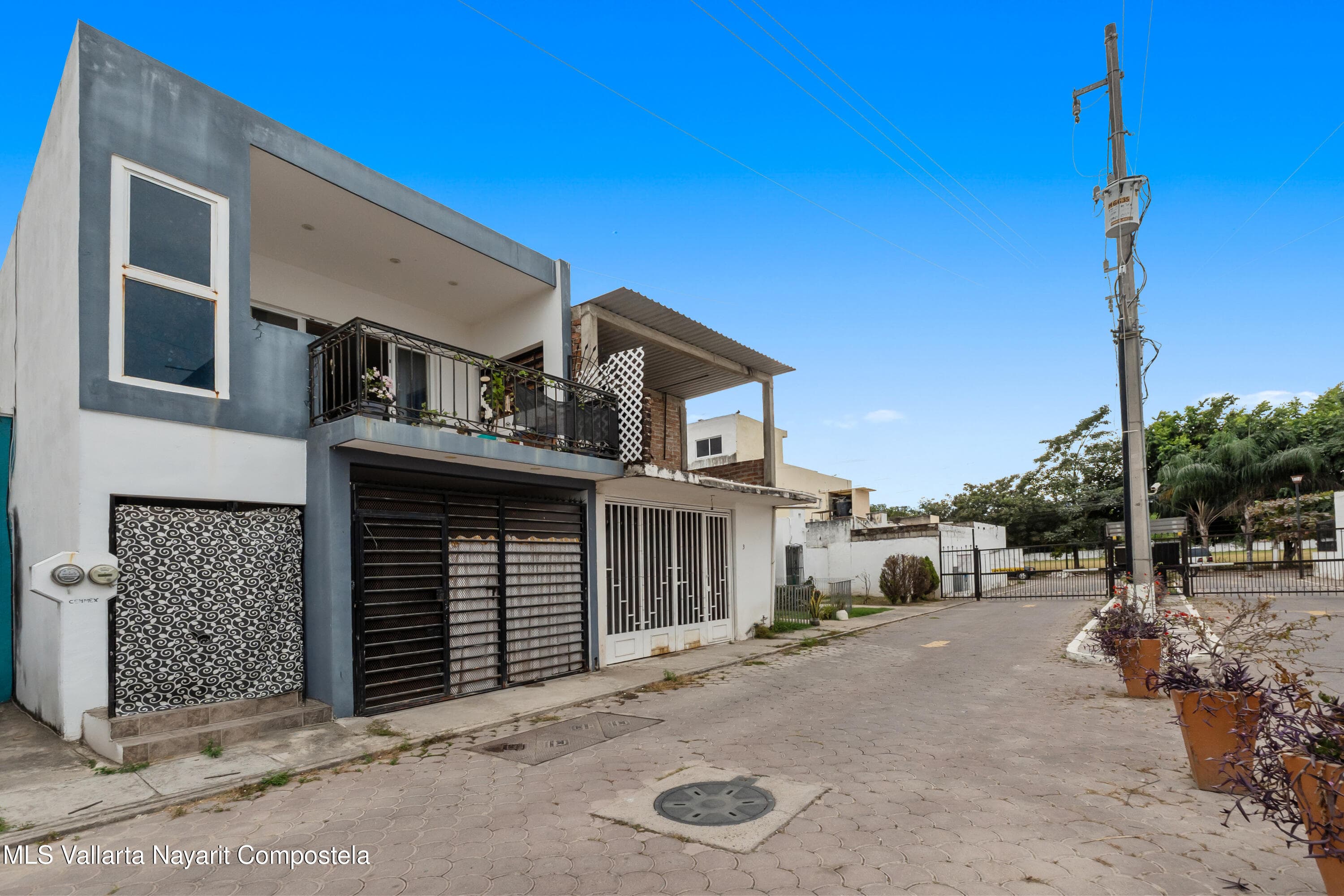 145 Palma Kentia 3