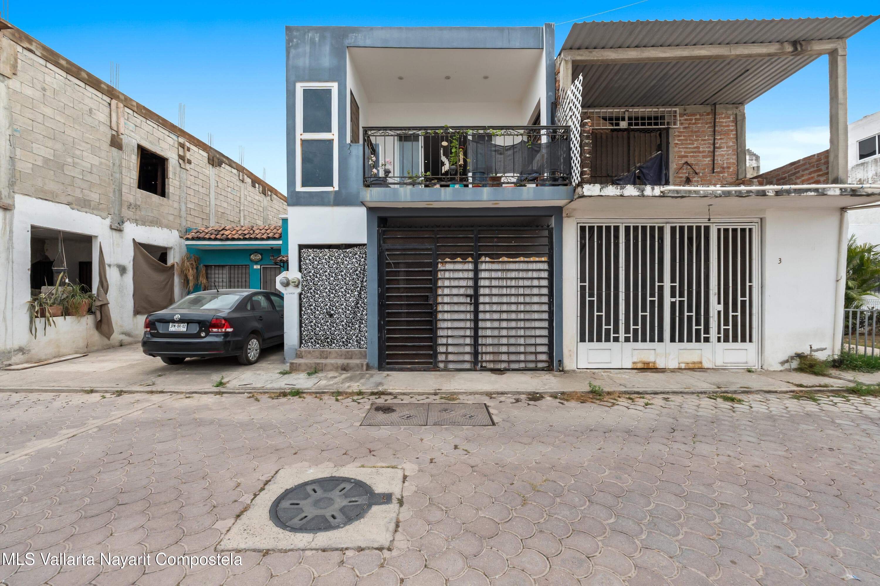 145 Palma Kentia 4
