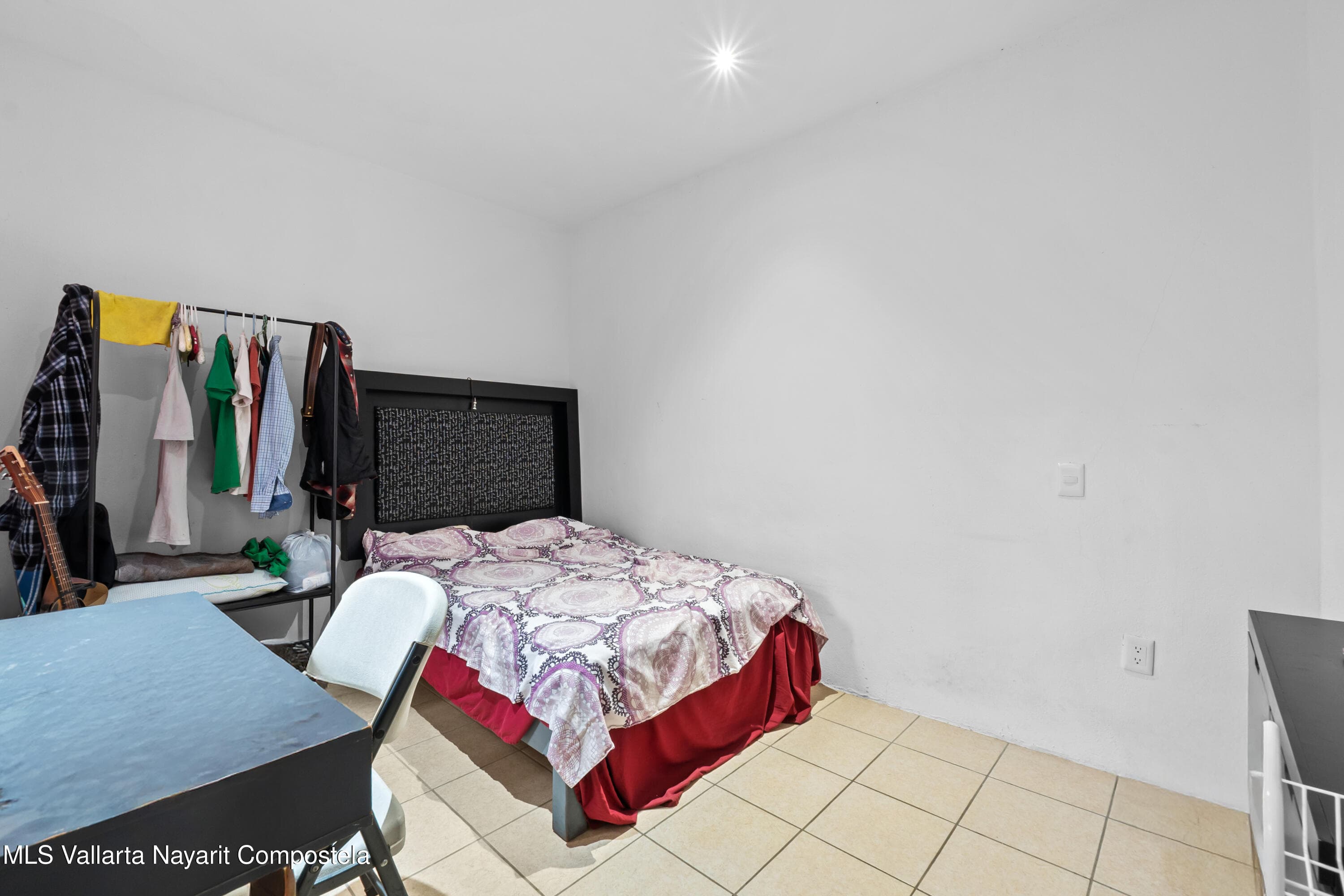 145 Palma Kentia 9