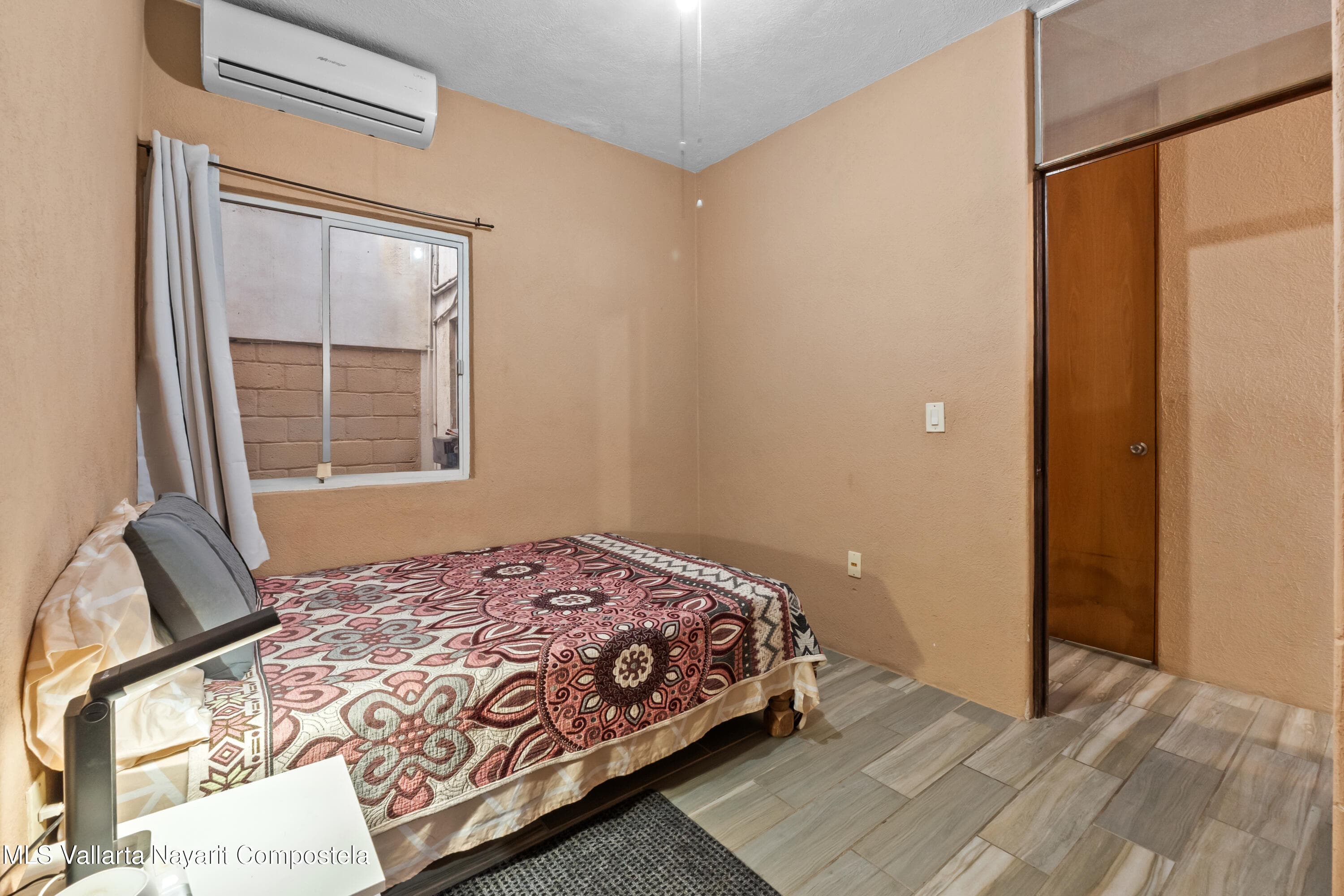 145 Palma Kentia 20