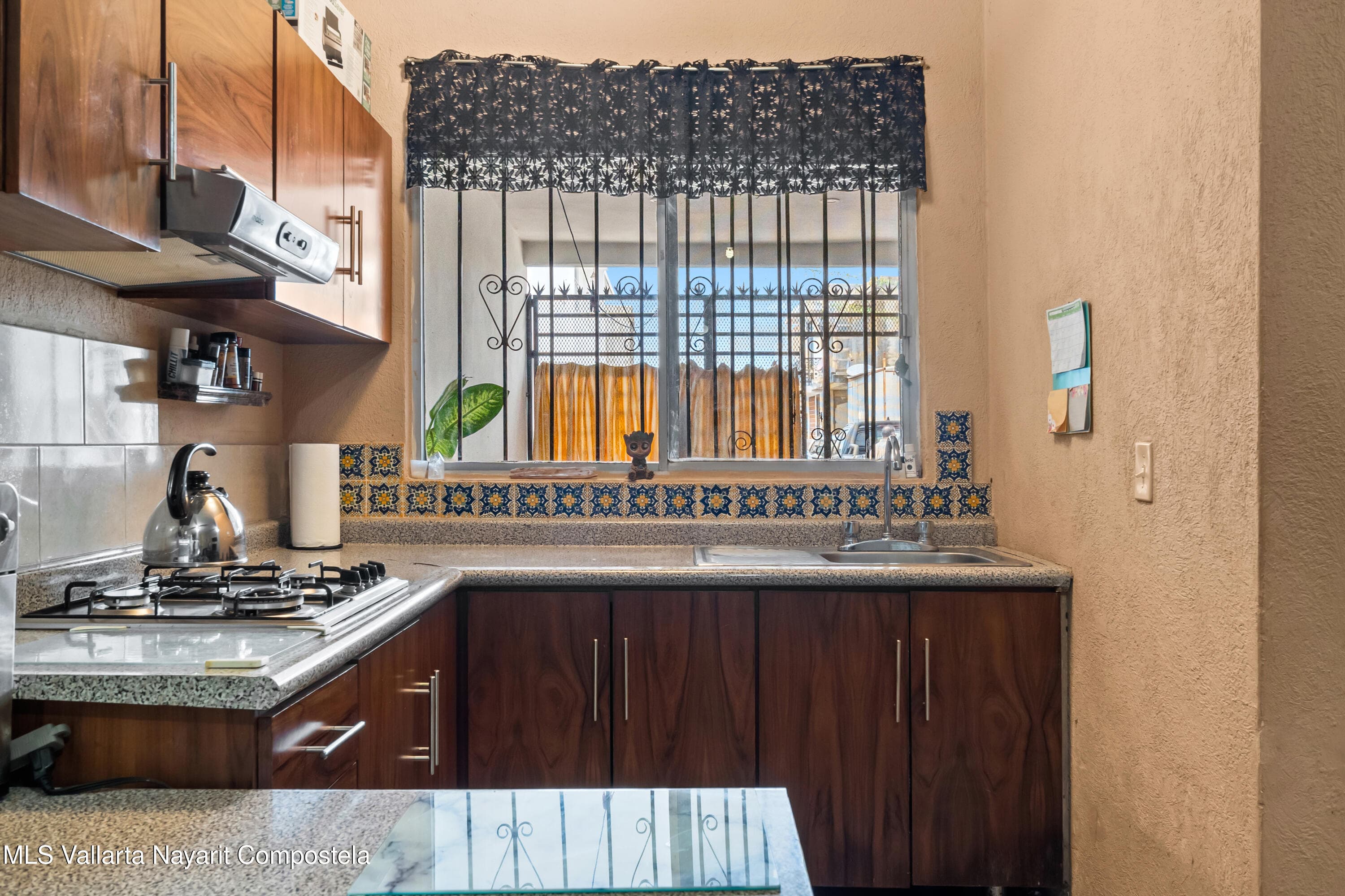 145 Palma Kentia 23