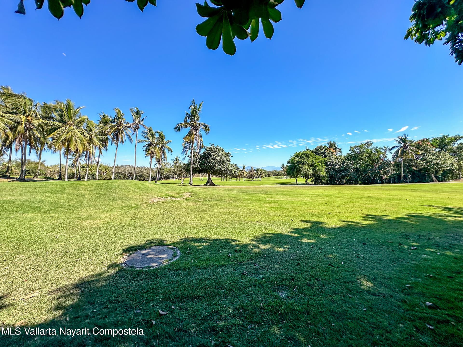 1 Campo de Golf Flamingos 40