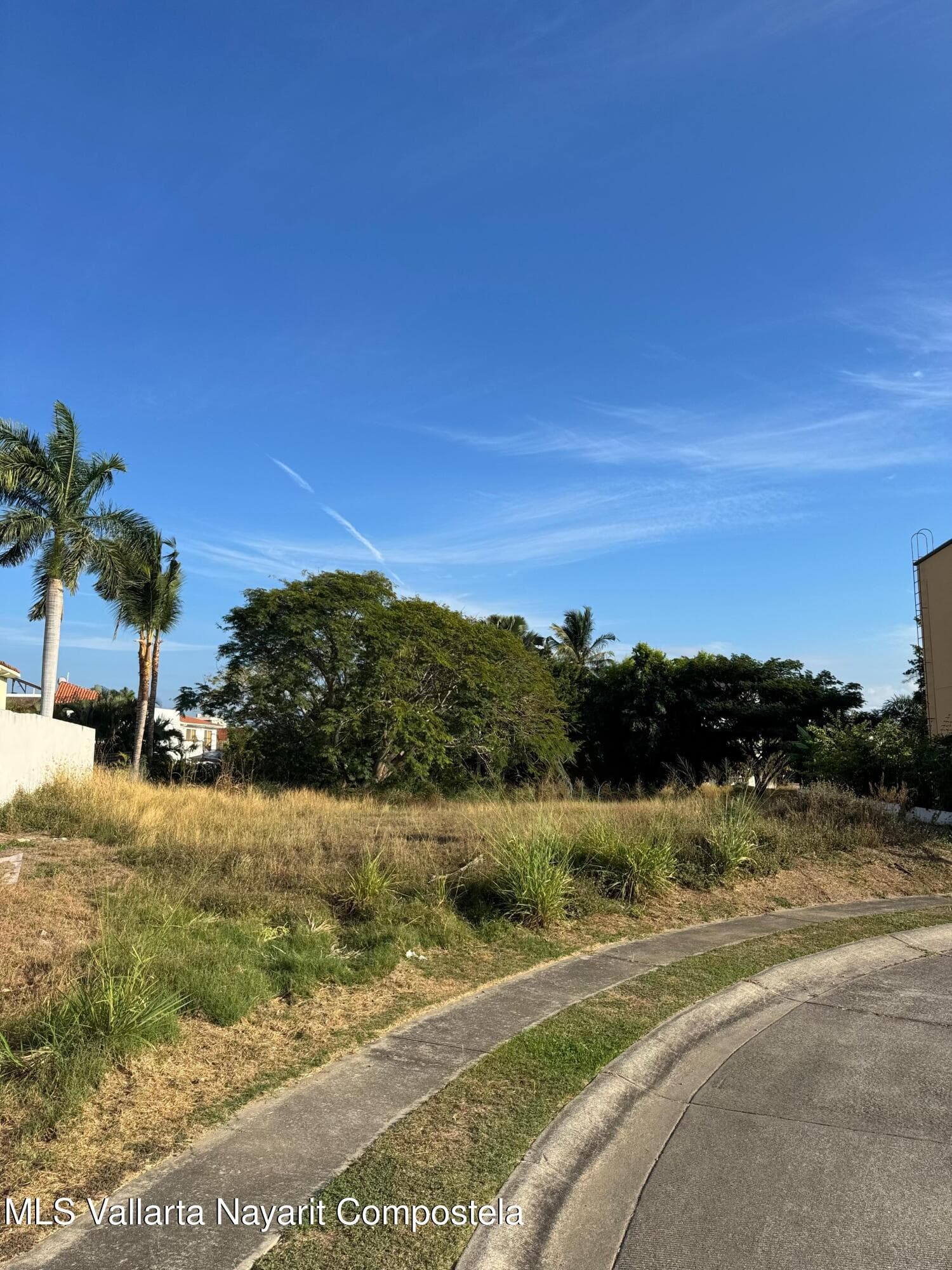 7-76 EL PALMAR FLAMINGOS