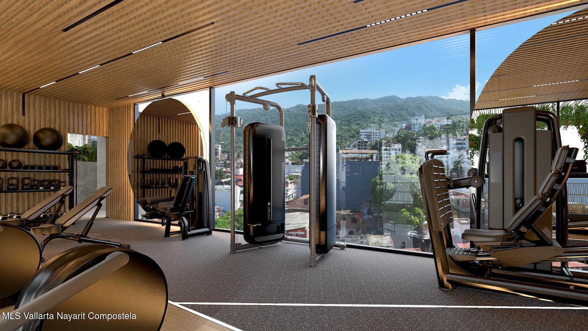 Eva 15