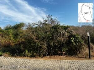 1150 Carr. Punta de Mita - Cruz Hua 5