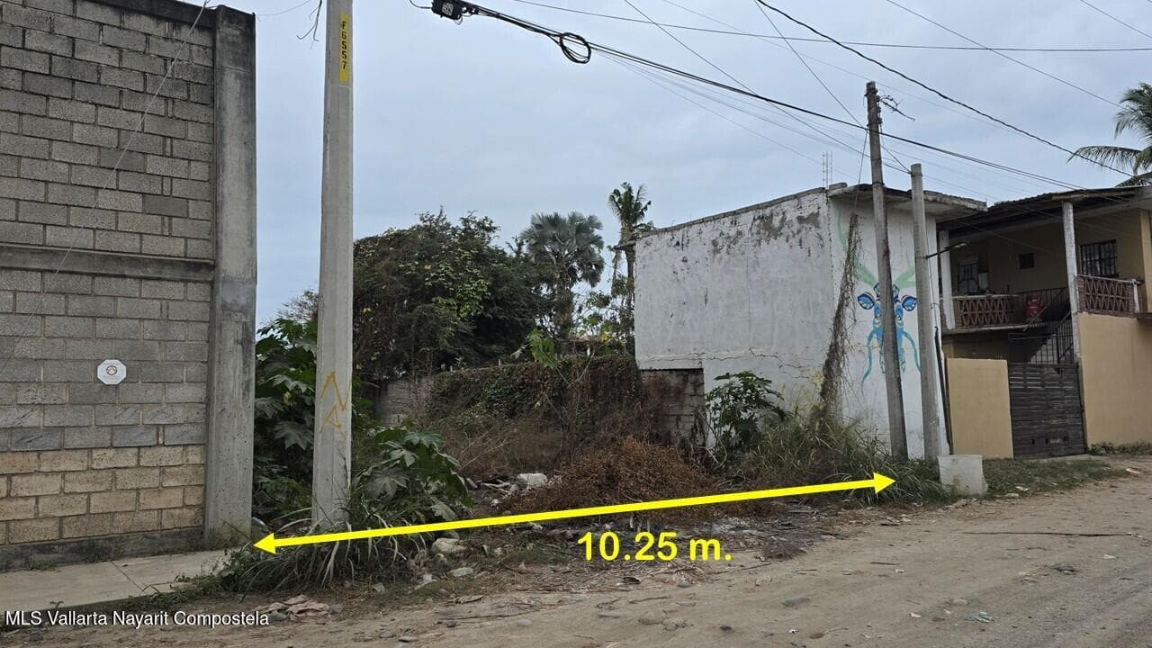SN Palmas 3