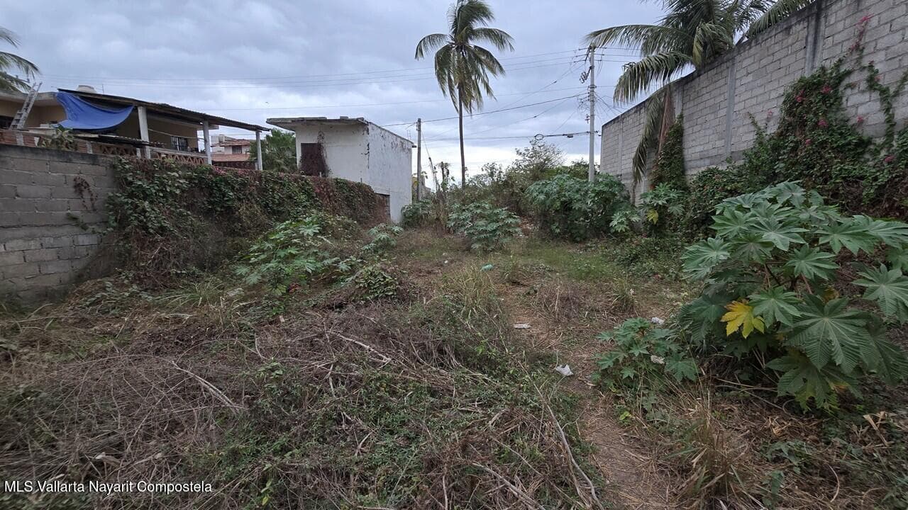 SN Palmas 4