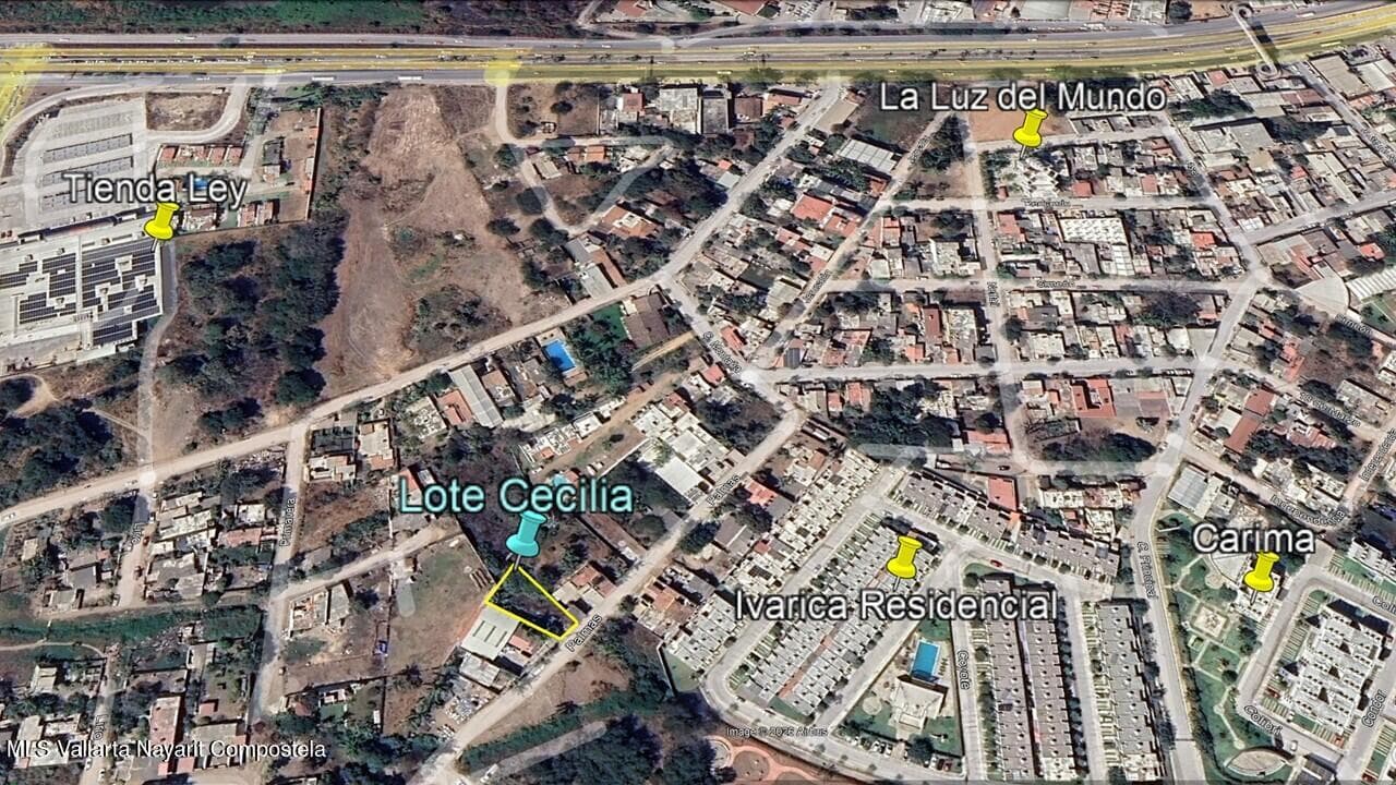 SN Palmas 7