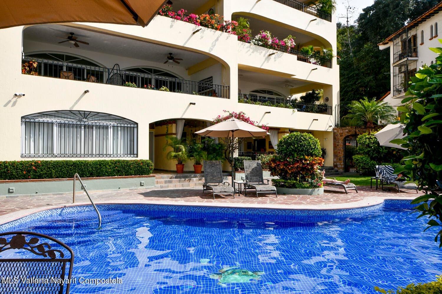 Estrella Del Mar 25