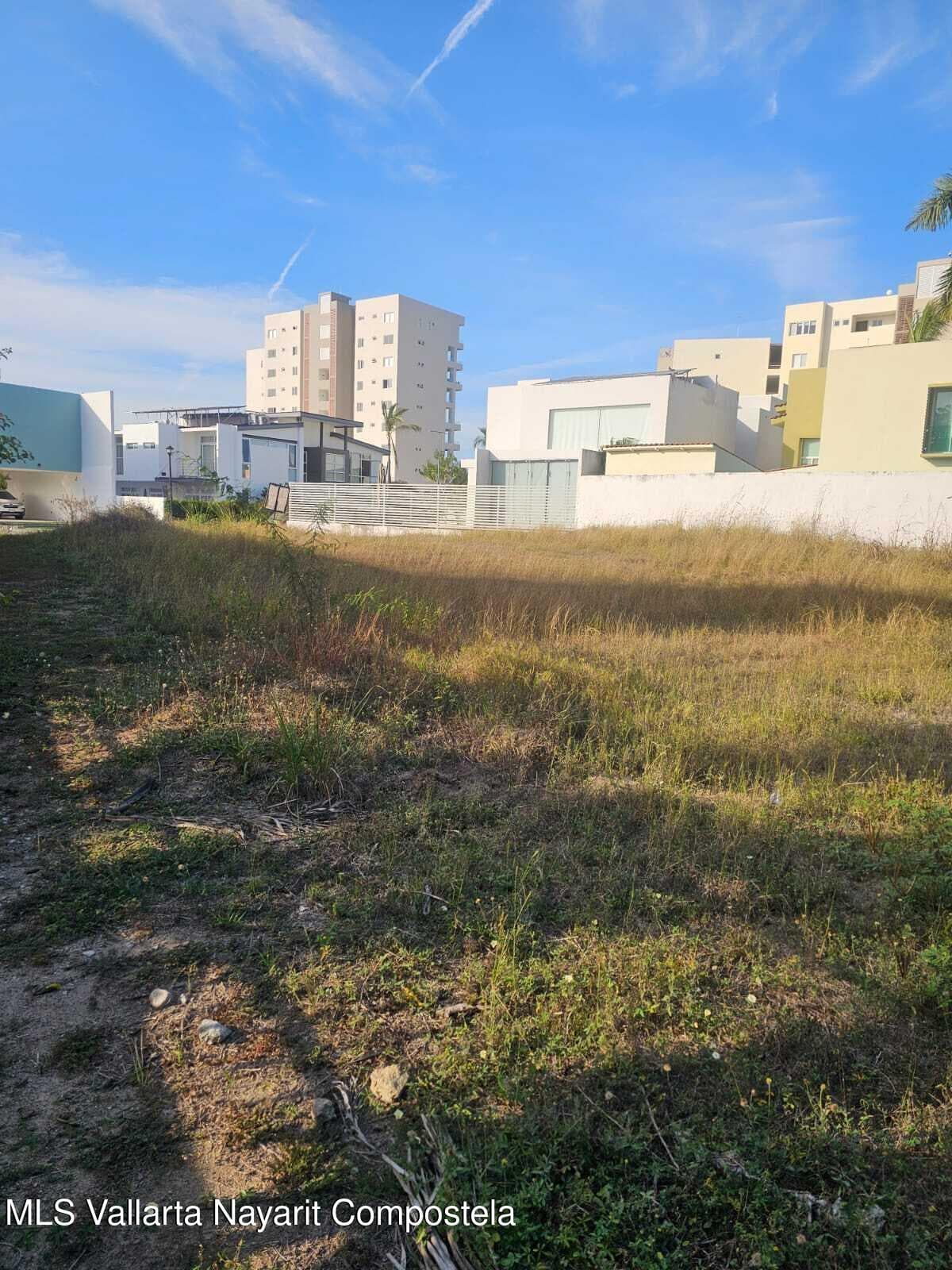 7-76 EL PALMAR FLAMINGOS 3