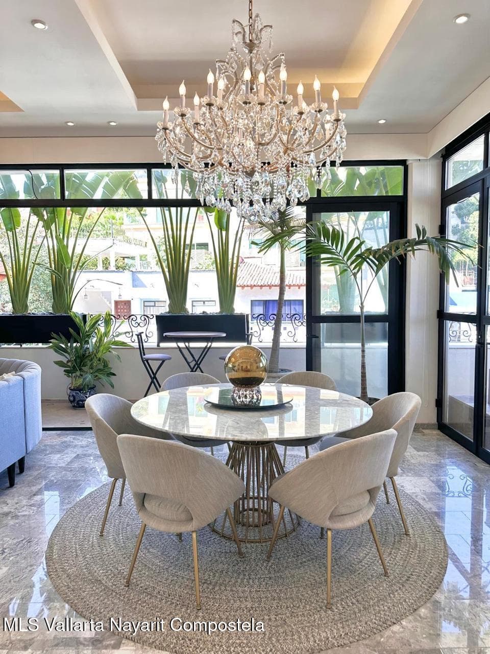480 Jacarandas 6