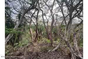 S/N LOTE 1 PARCELA 685 6