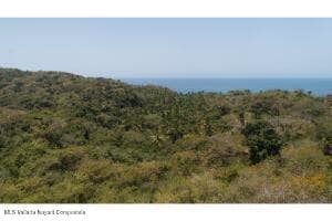 S/N LOTE 1 PARCELA 685 4