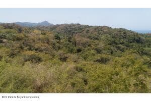 S/N LOTE 1 PARCELA 685 9