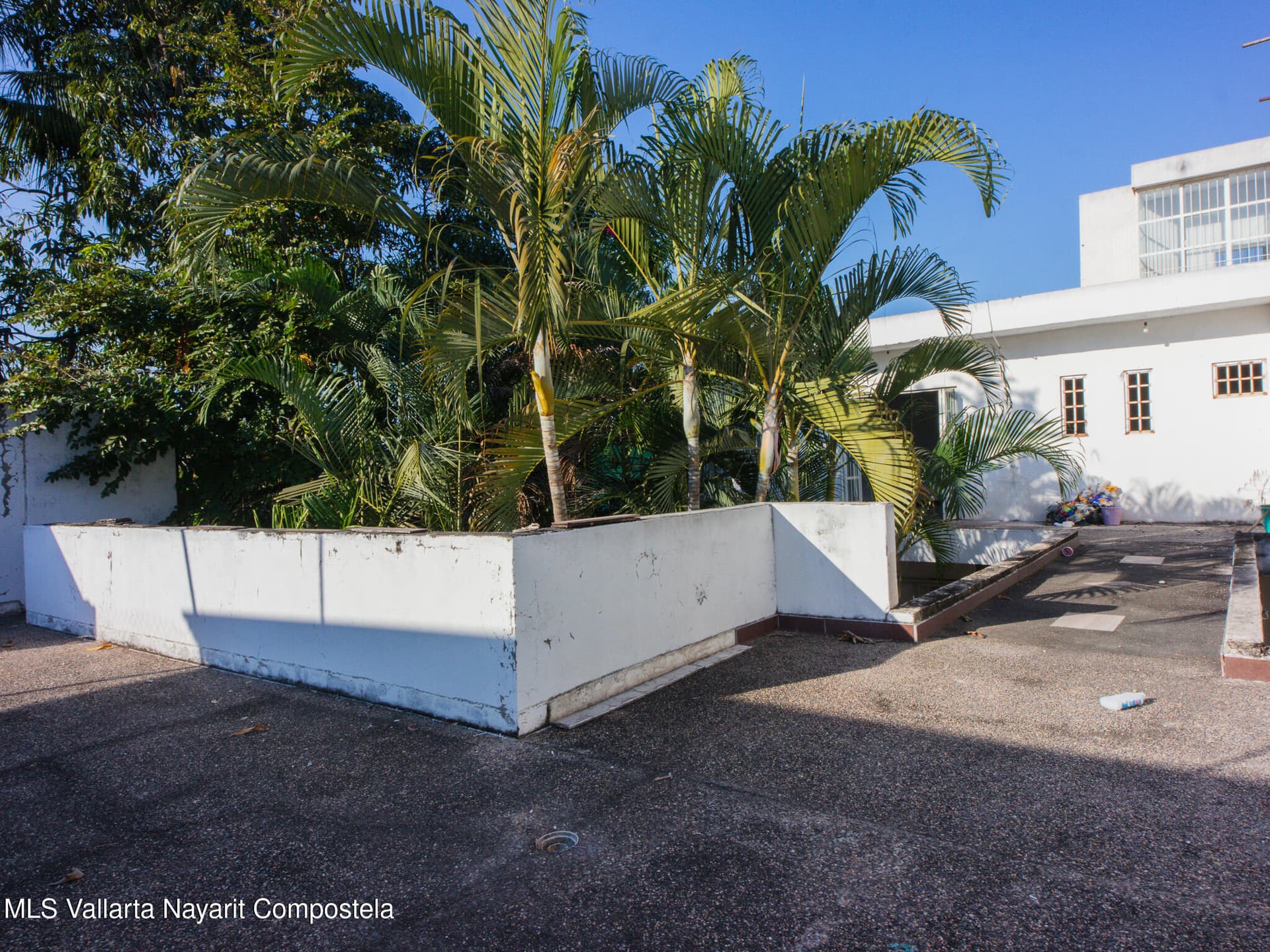 558 Callejon Palmera,Col Primavera Calle 11