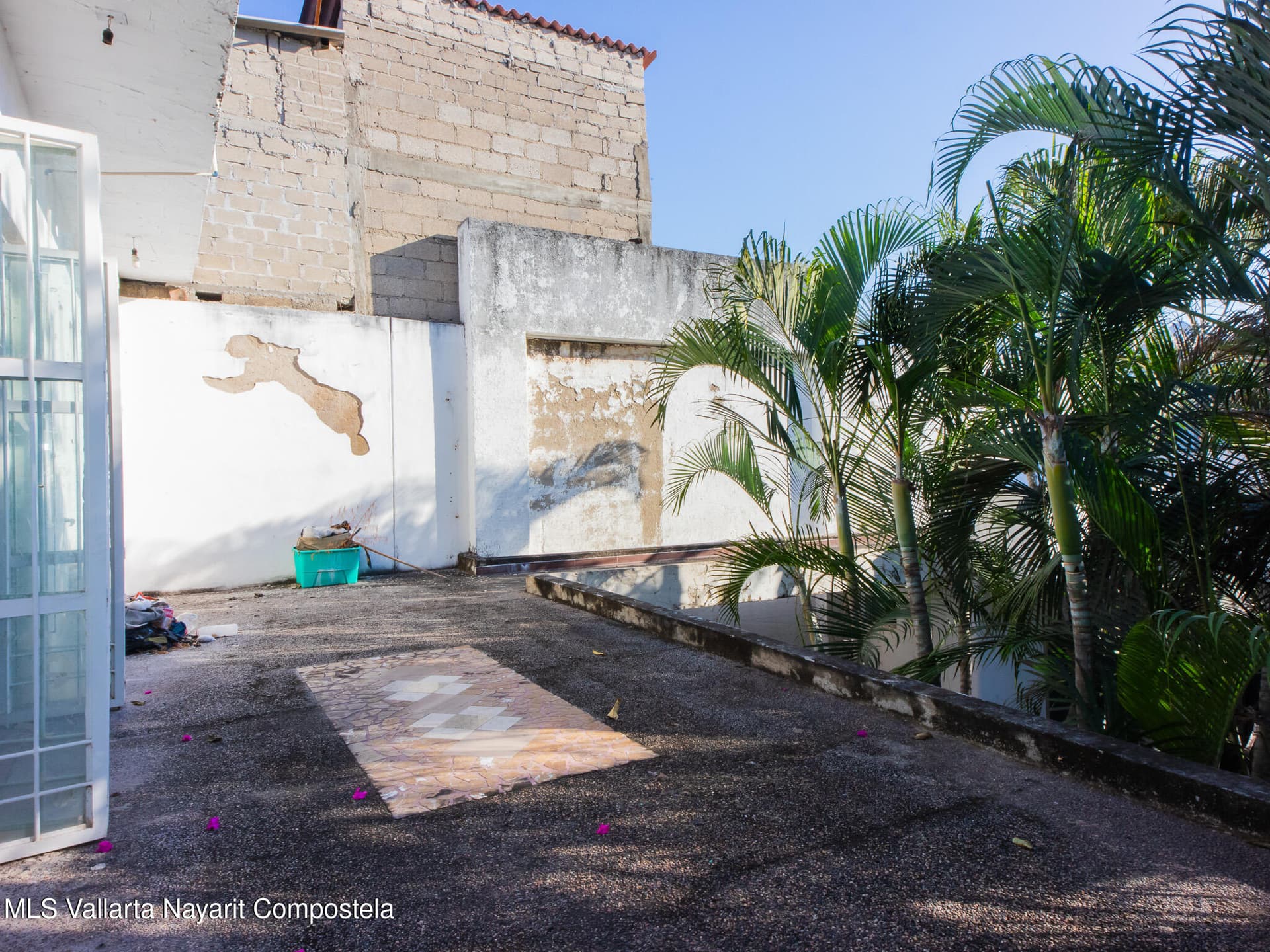 558 Callejon Palmera,Col Primavera Calle 19