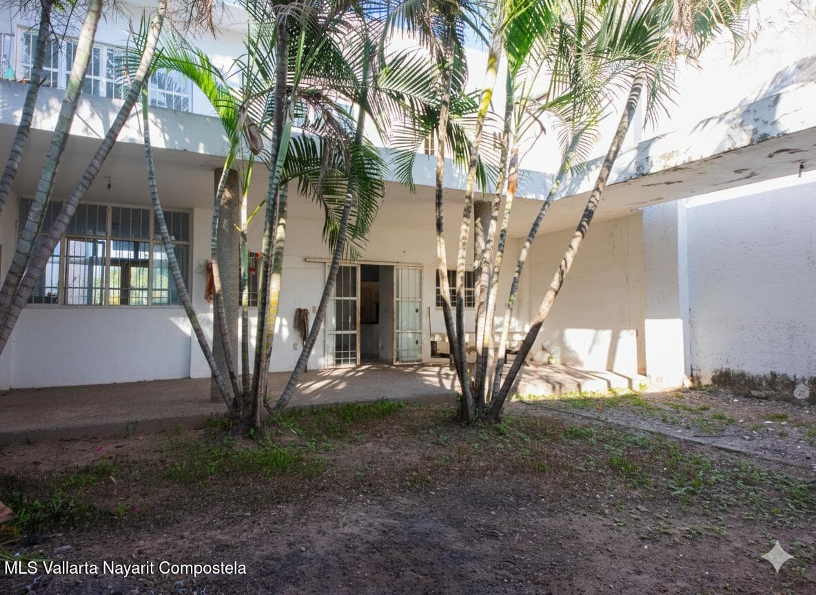 558 Callejon Palmera,Col Primavera Calle 3